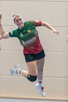 Bild 253 - F HSG Kremperheide/Muensterdorf - Slesvig IF 2 : Ergebnis: 30:26